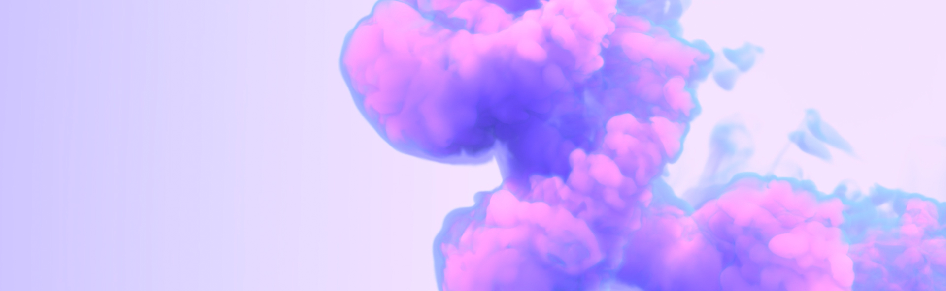 Purple Asia logo